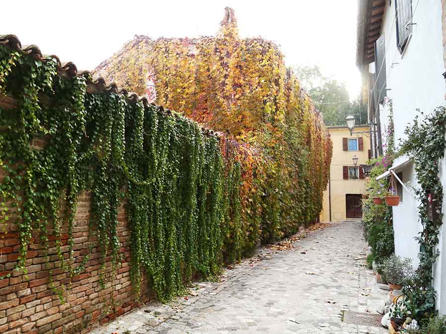 Santarcangelo_3