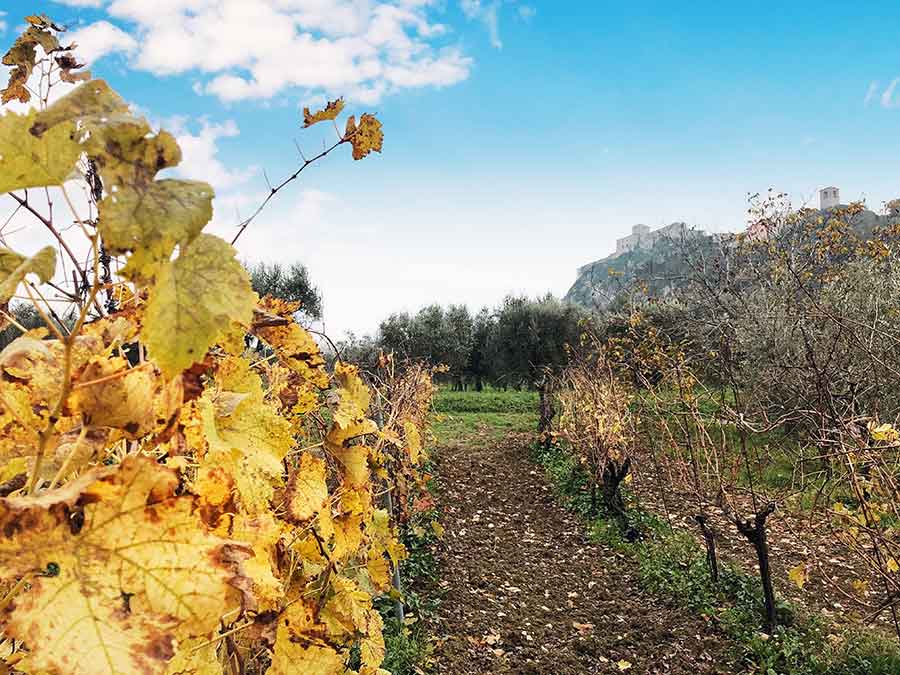 Verucchio_1